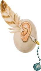 Pacomio Srl Societa Benefit